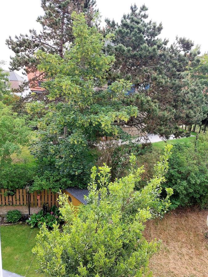 Appartement 2 Chambres 200M Plage Nieuwpoort Bad Luaran gambar